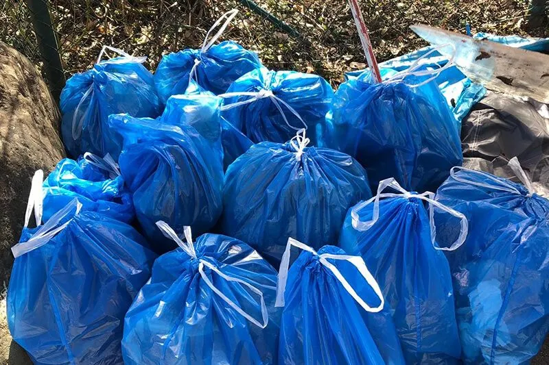 Dorr Plogging Impression